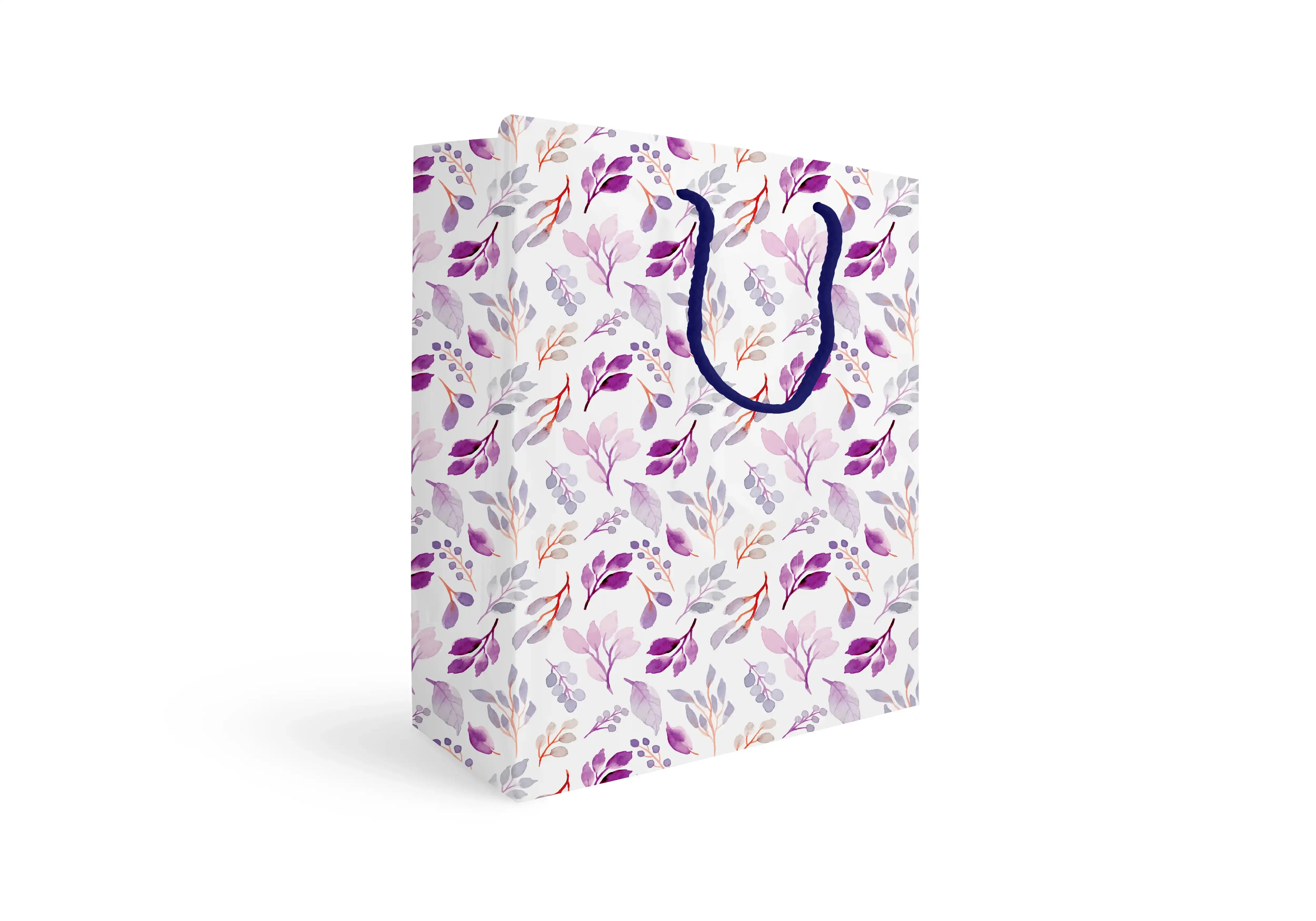 Gift bag (33x37cm)