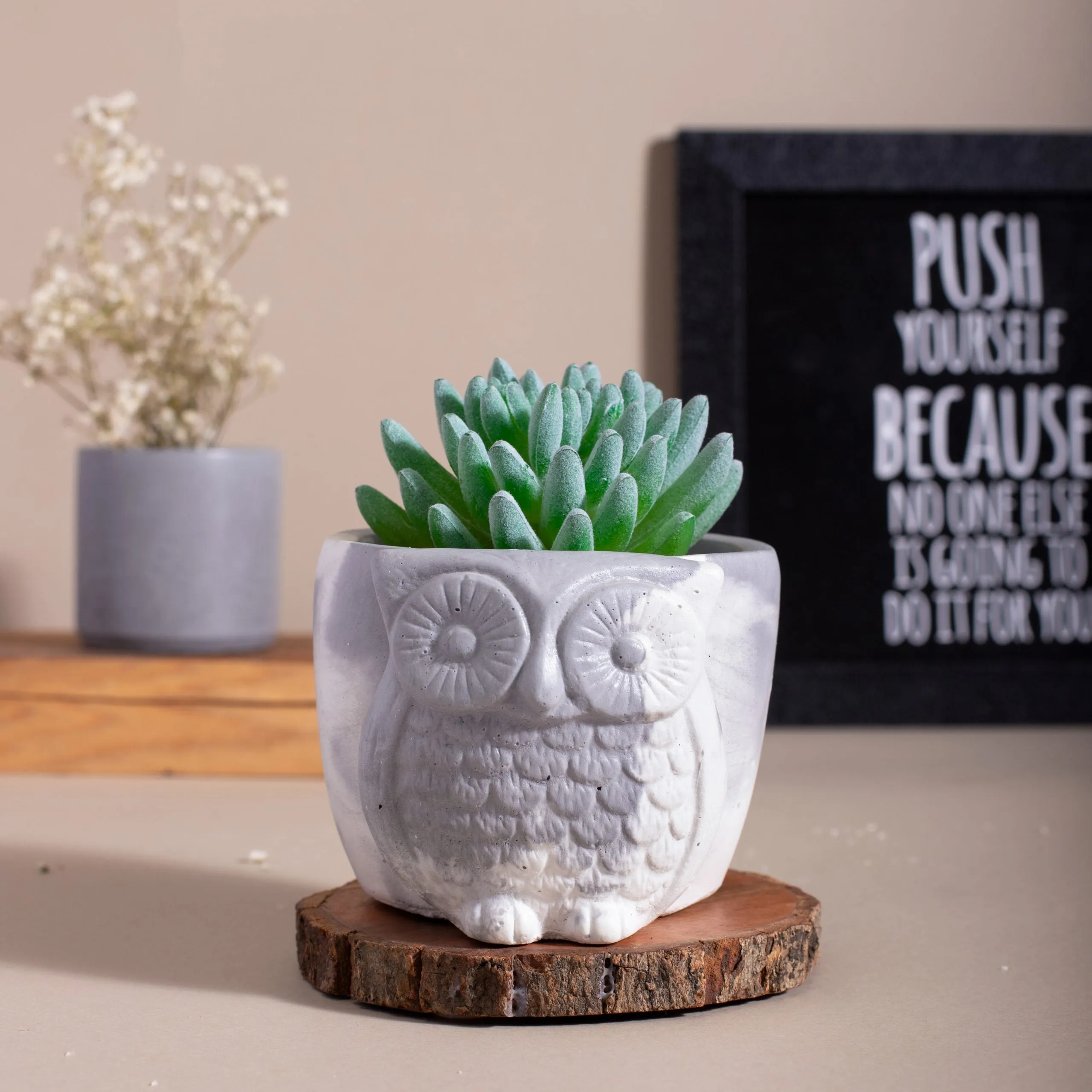 Owl Planter/ Organizer