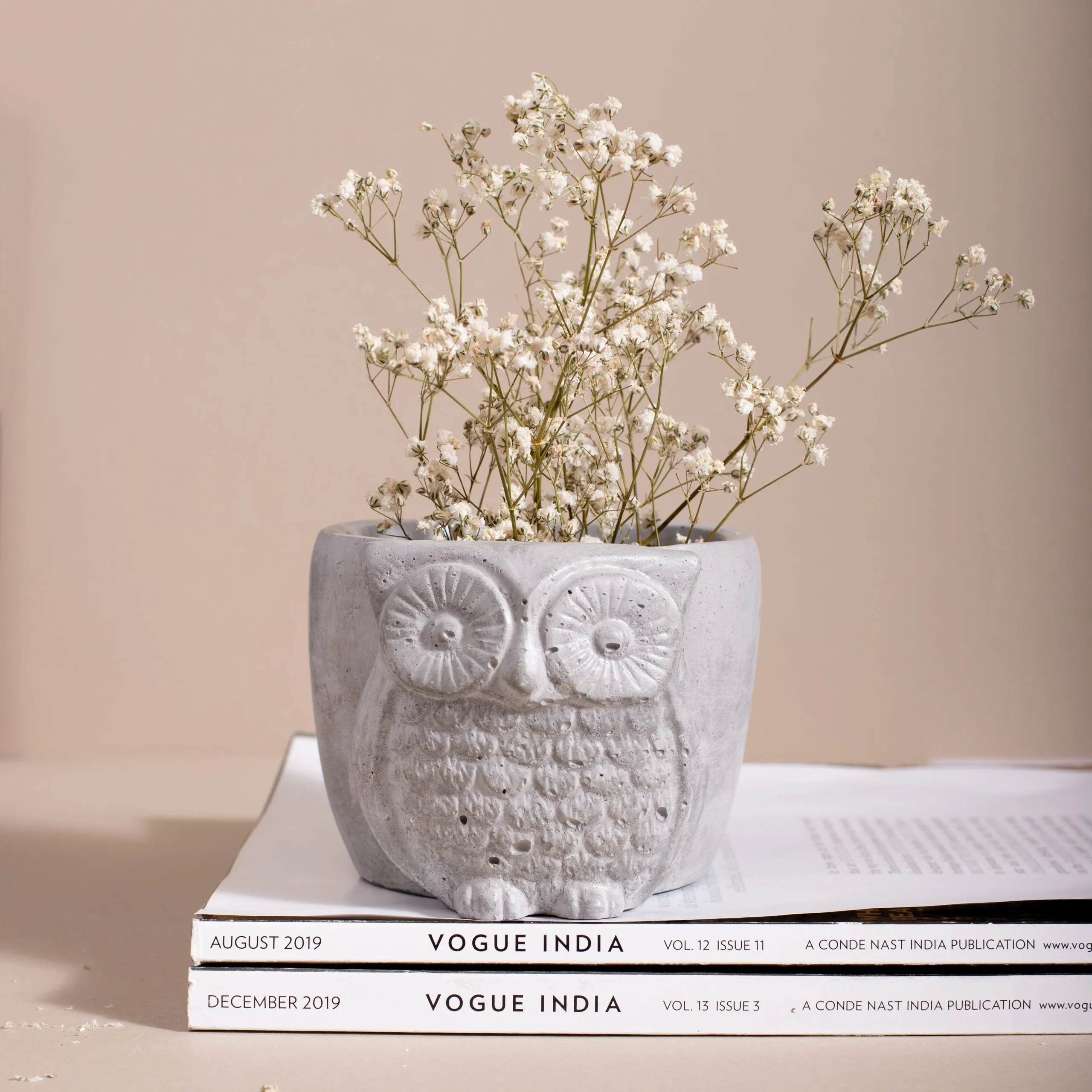 Owl Planter/ Organizer