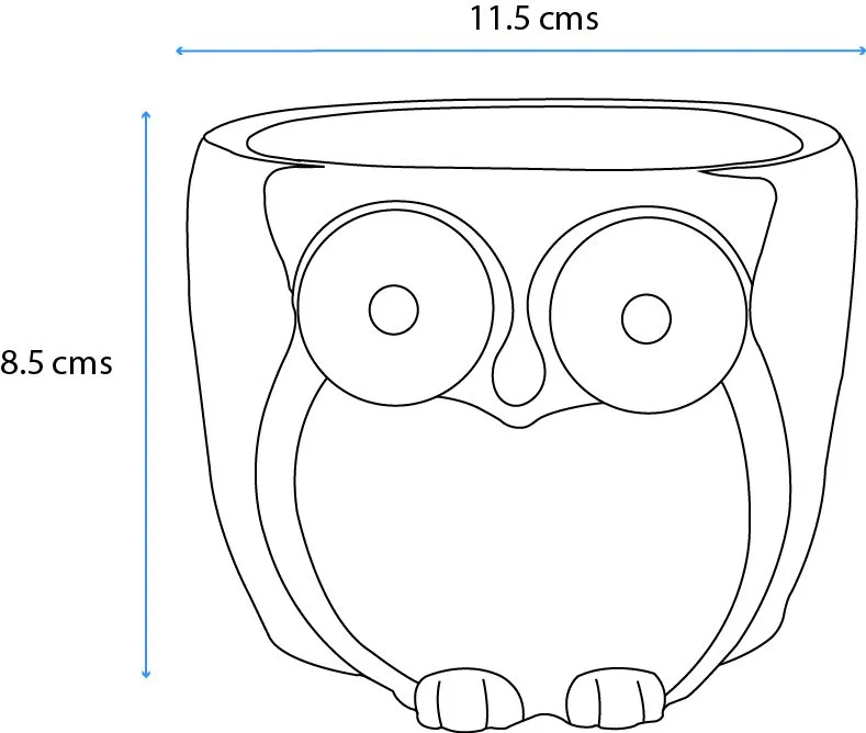 Owl Planter/ Organizer